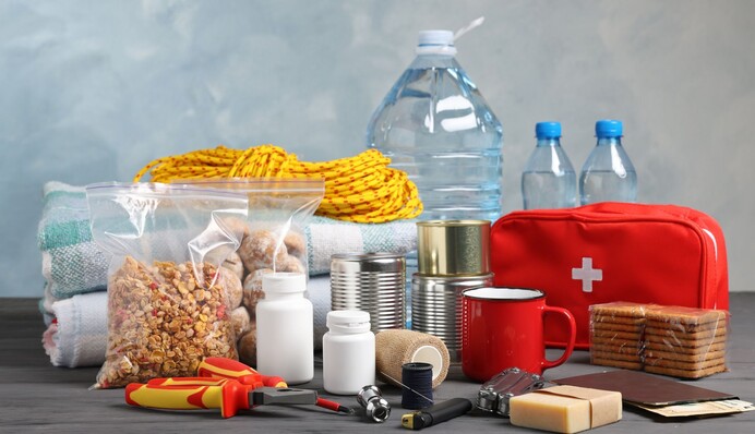 Население Дании призвали приготовить запас еды и чемоданы из-за России