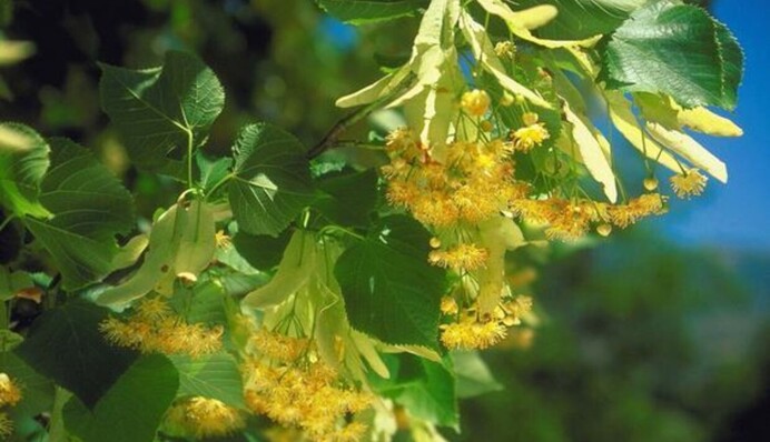 Украину наконец-то покинут дожди и заметно потеплеет