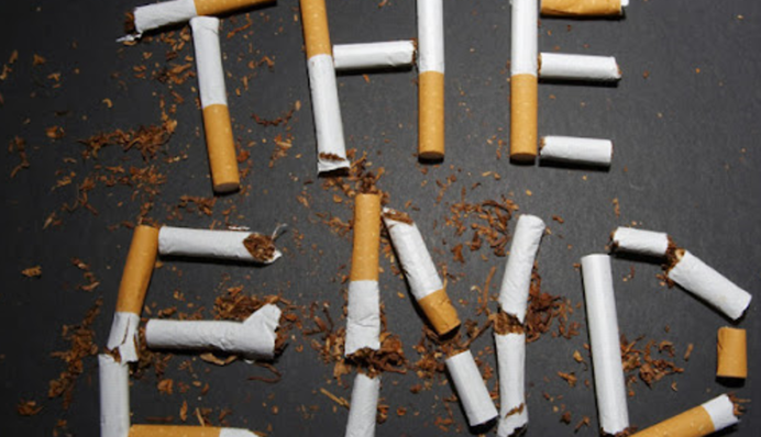 В Украине запустят портал 