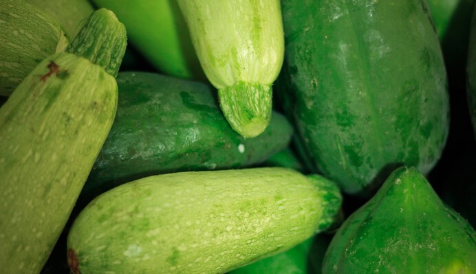 Чому кабачки швидко гниють на грядці: поради дачникам