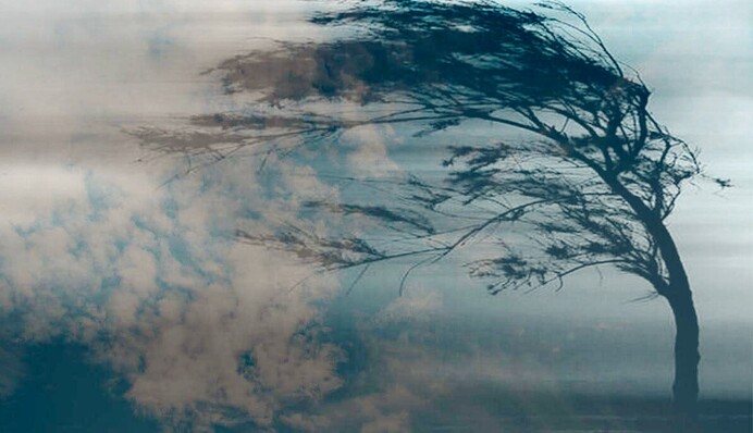 Жара спадет и налетит штормовой ветер: синоптик предупредила об ухудшении погоды