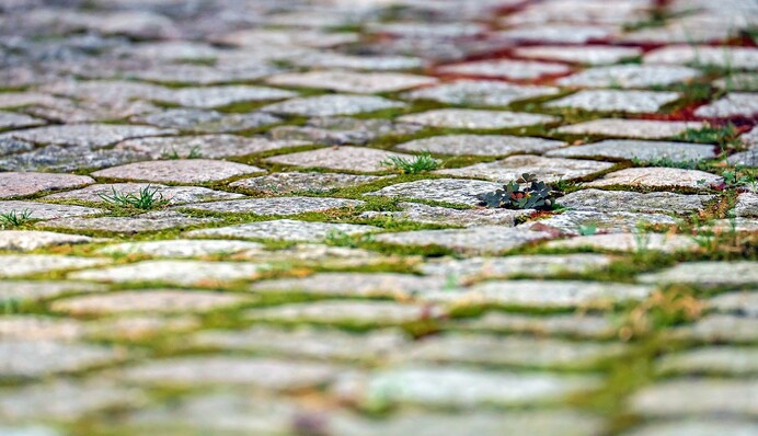 Чем и как отмыть брусчатку во дворе: эффективные лайфхаки