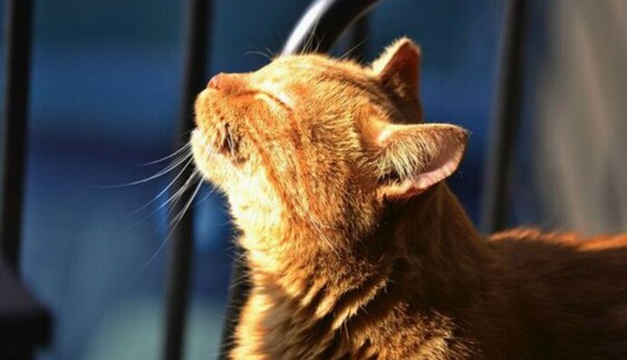 Пятница будет затишьем перед бурями: синоптик дала прогноз до конца недели