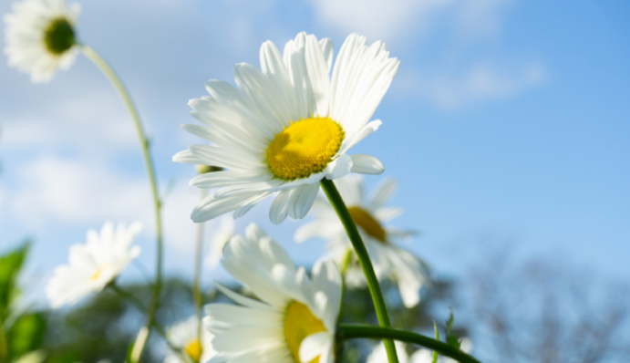 Лето хозяйничает вовсю: прогноз погоды на выходные 22-23 июня