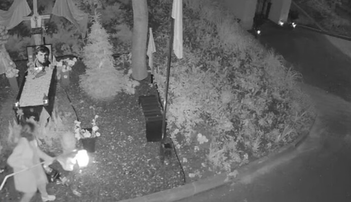 Надругательство над могилами Героев в Киеве: задержанная получила по заслугам