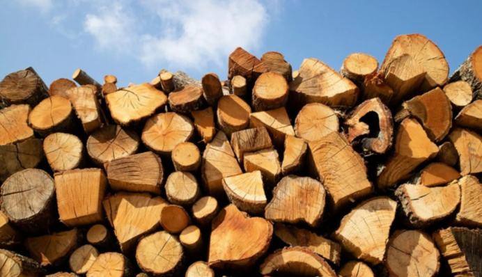 Жителям ряда областей предоставят сжиженный газ и дрова - кто и когда получит