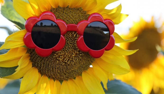 В Україні вдарить спека понад 30 градусів: де і коли буде найвища температура