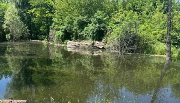 В Киевской области в пруду утонул 2-летний мальчик: детали трагедии