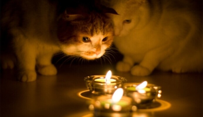 Як вимикатимуть світло після удару по енергосистемі: графік на 22 червня