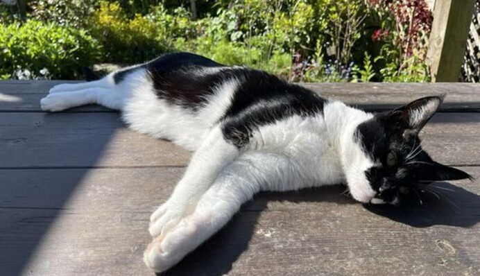 Практично без дощів та до +31 градуса: яку погоду очікувати найближчими днями