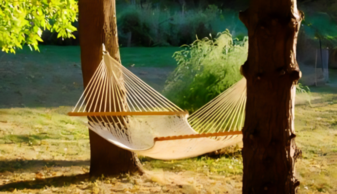 До +31 градуса та майже без дощів: яку погоду очікувати 28 червня