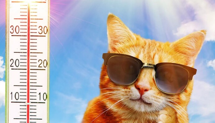 Спека в Україні наростатиме: коли температура підскочить до 42 градусів