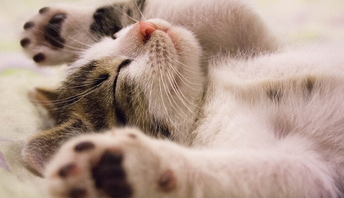 Спека до +37 та грозові дощі: прогноз погоди на 1 липня