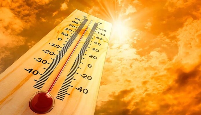 Синоптики предупреждают о высокой пожароопасности 2 июля в Киевской области