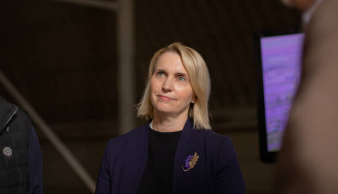 Посол США в Україні Бріджет Брінк розповіла, яких трьох речей очікує від саміту НАТО