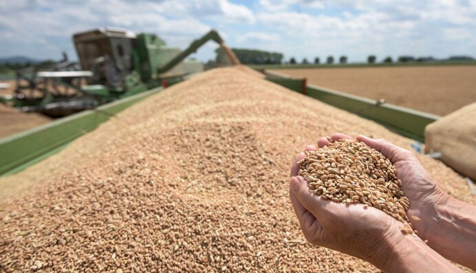 Українські аграрії вже зібрали понад 3.5 млн. тонн врожаю