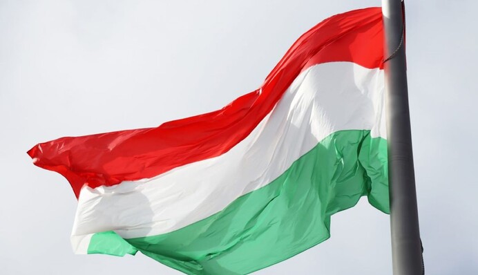 Венгрия внезапно отменила визит главы МИД Германии