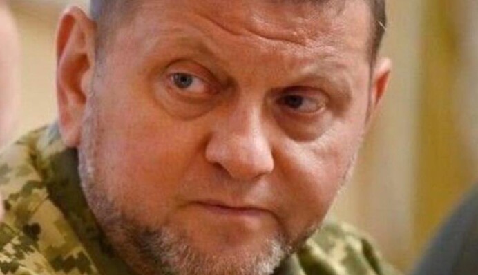 Залужний перервав тривалу інформаційну паузу