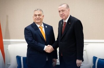 Орбан на полях НАТО знайшов собі "успішного" союзника для "миротворчої місії"