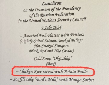Після удару по "Охматдиту" росіяни в ООН влаштували ланч з "котлетами по-київські"