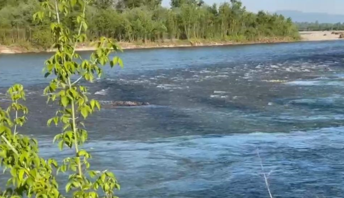 Прикордонники знайшли труп біля Тиси