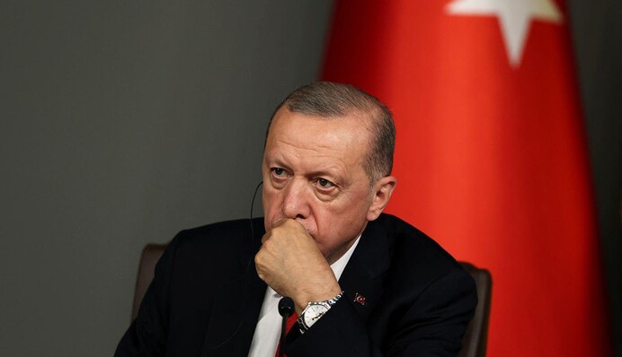 Эрдоган сообщил Зеленскому о планах возродить зерновое соглашение