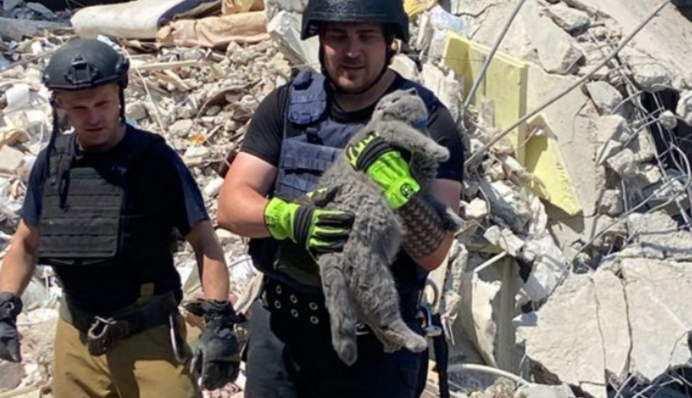 У Мирнограді працівники ДСНС дістали з-під завалів кота, який врятував життя господарці