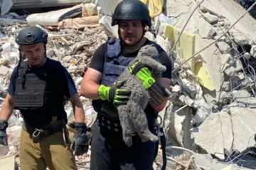 У Мирнограді працівники ДСНС дістали з-під завалів кота, який врятував життя господарці