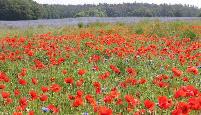 Жара спадет: синоптик дал обнадеживающий прогноз на неделю