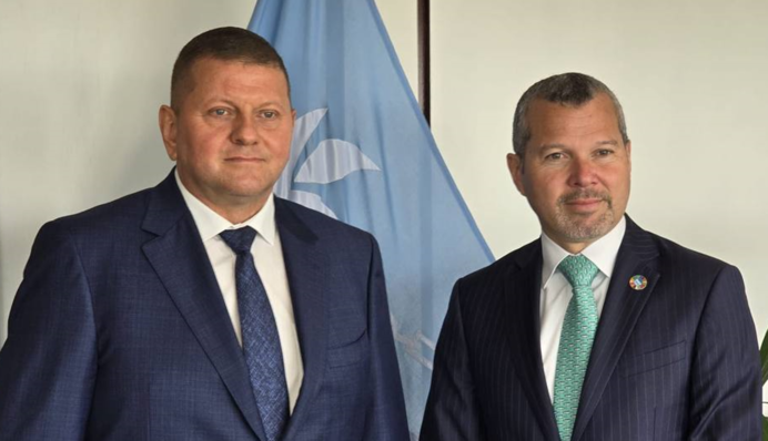 Залужний зайнявся питанням покарання росіян за крадіжку зерна