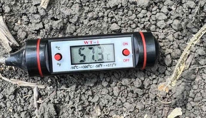 В Україні назріває овочева криза - температура ґрунту сягає 70 градусів