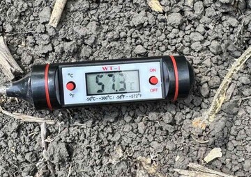 В Украине назревает овощной кризис - температура почвы достигает 70 градусов