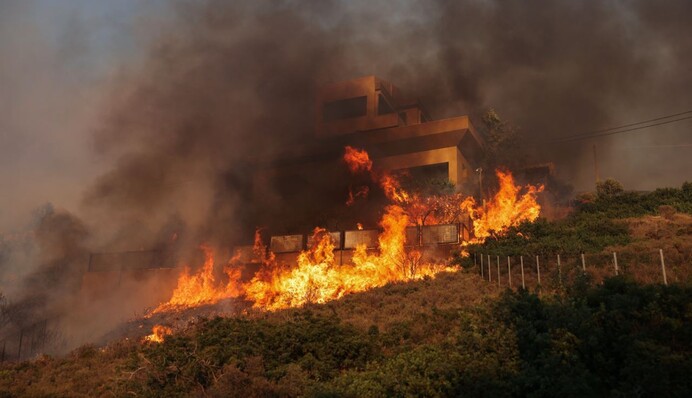 На юге Европы из-за сильной жары свирепствуют лесные пожары