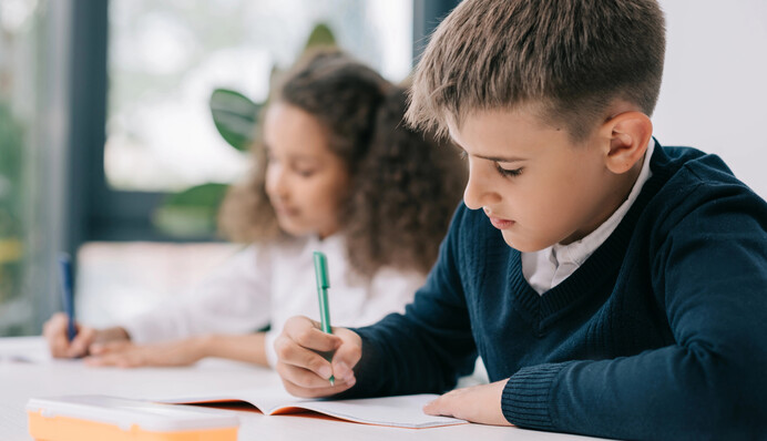 Половина українських шкіл у разі блекаутів будуть змушені перейти на синхронний формат роботи