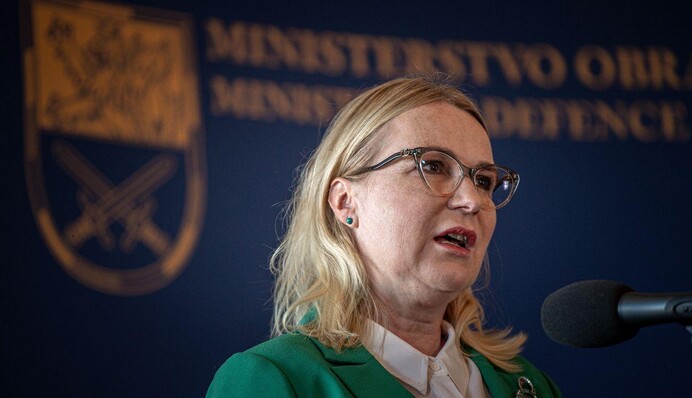 Украинский легион может быть создан в Чехии