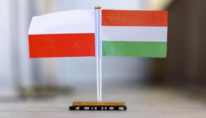 Сийярто обвинил главу польского МИД во лжи