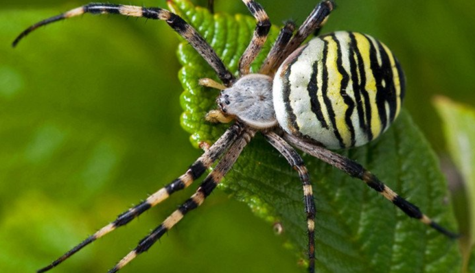 Минздрав отреагировал на 