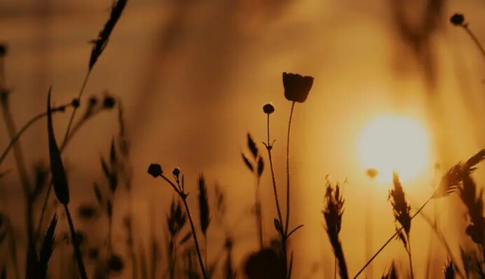 Україну накриватимуть спека та дощі з грозами: метеоролог дав прогноз до 11 серпня