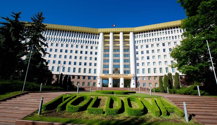 Оса вбила депутата