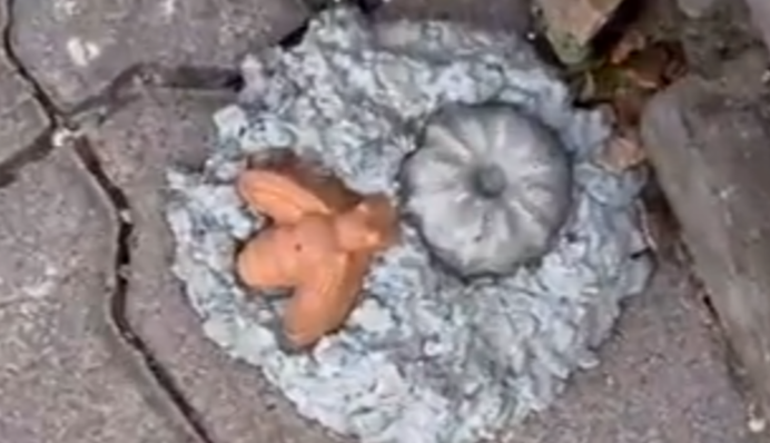 Анатолий Анатолич наткнулся на киевском Подоле на загадочную 