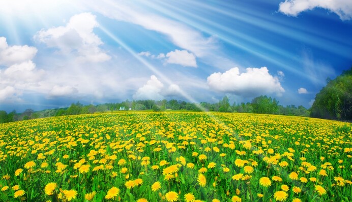 Українцям спрогнозували стабілізацію погоди до Дня незалежності