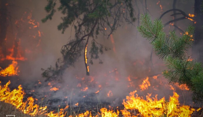 В Киеве произошел пожар из-за падения обломков дрона