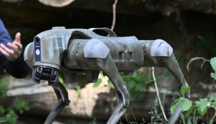 Людей вразило відео роботи бойового робота-пса на Покровському напрямку
