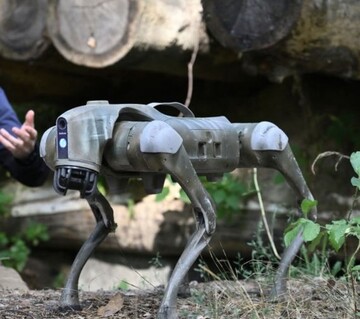 Людей вразило відео роботи бойового робота-пса на Покровському напрямку