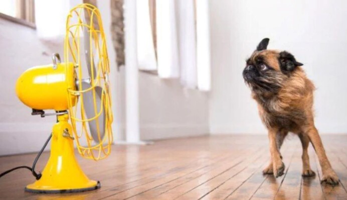 В Україні температура підскочить до 40 градусів - названо дати