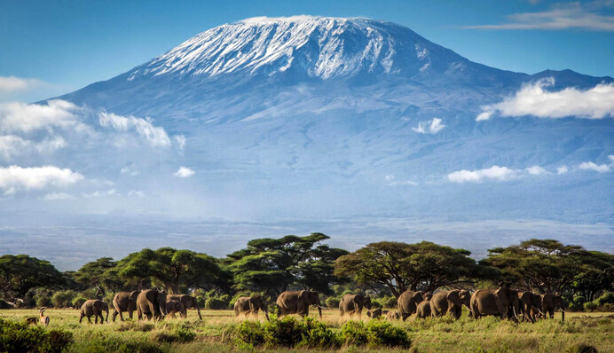 "Посвящается Украине": впервые 14-летняя украинка покорила Килиманджаро