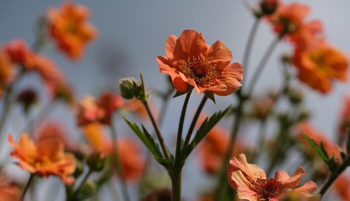 Осінь почнеться 35-градусною спекою: синоптик дав прогноз на тиждень