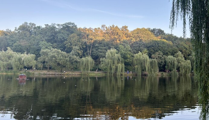 Спека не спаде: свіжий прогноз погоди на початок тижня