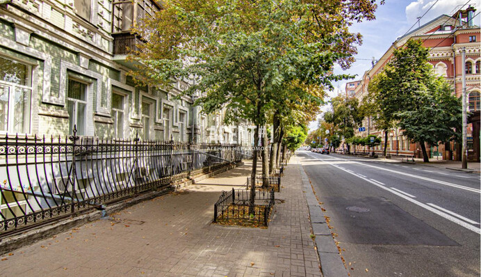 Як виглядала Велика Житомирська в Києві 150 років тому: в мережі показали історичне фото