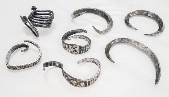 В Дании студент наткнулся на клад викингов: в находке - редкие серебряные украшения